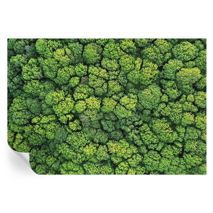 Tapet autoadeziv Tulup, panorama a pădurii, verde, 152x104cm