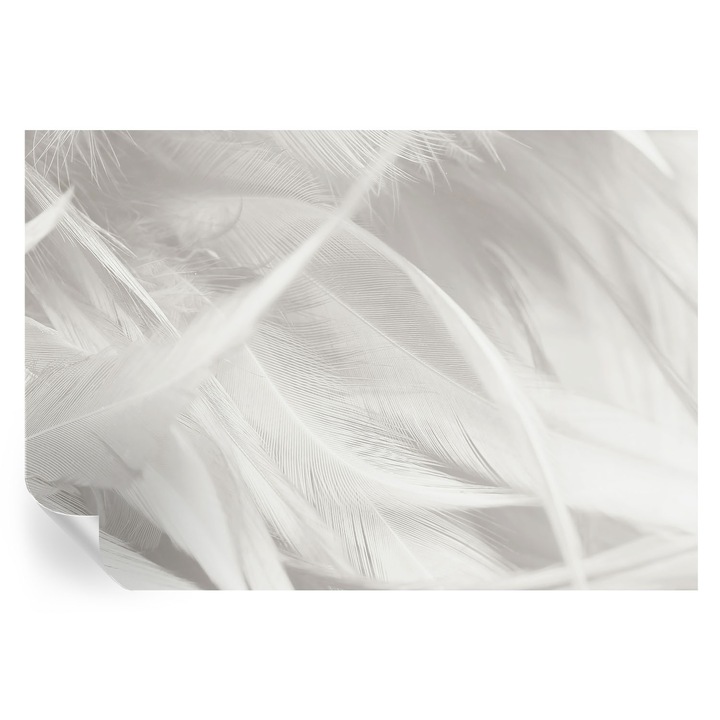 Tapet autocolant tulup, pene subtile, alb, 152x104cm