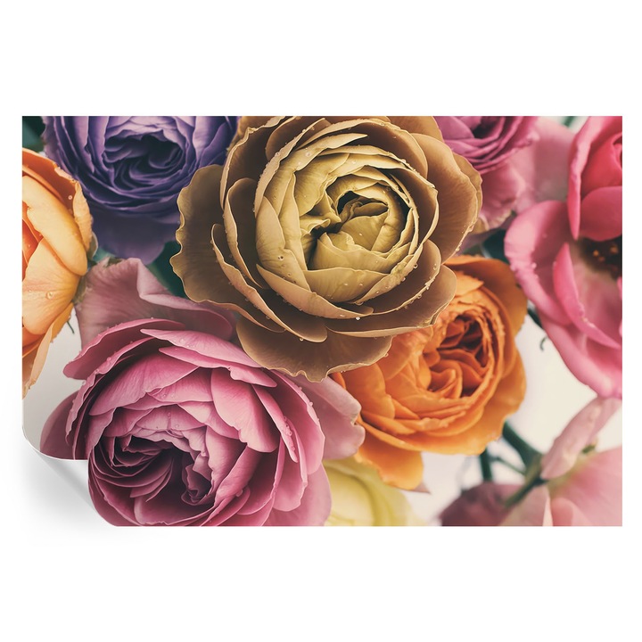 Tapet Autocolant Tulup, Trandafiri colorati, Mat, 152x104cm