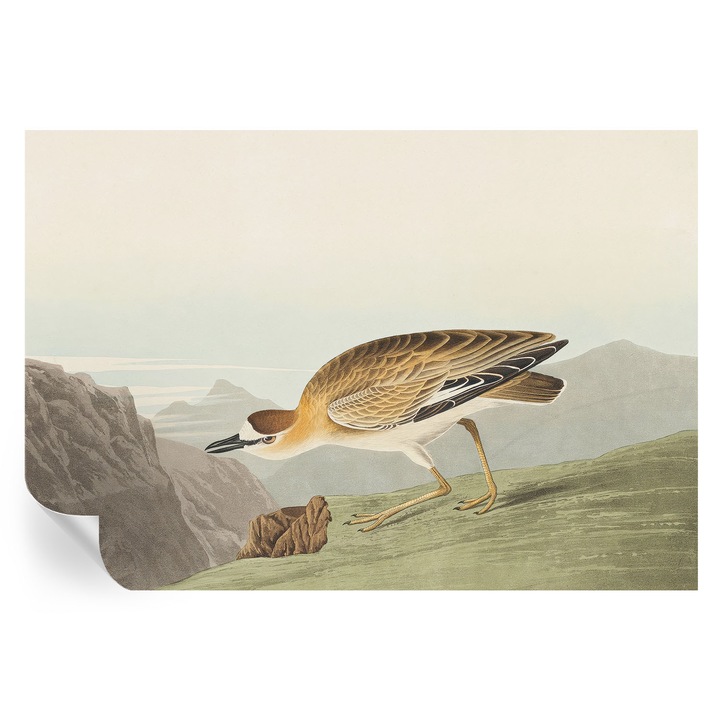 Tapet Autocolant De Perete, Tulup, Pasare de munte, Maro, 152 x 104 cm, Decorativ, Usor De Montat Si Rezistent, 010170060180000285298