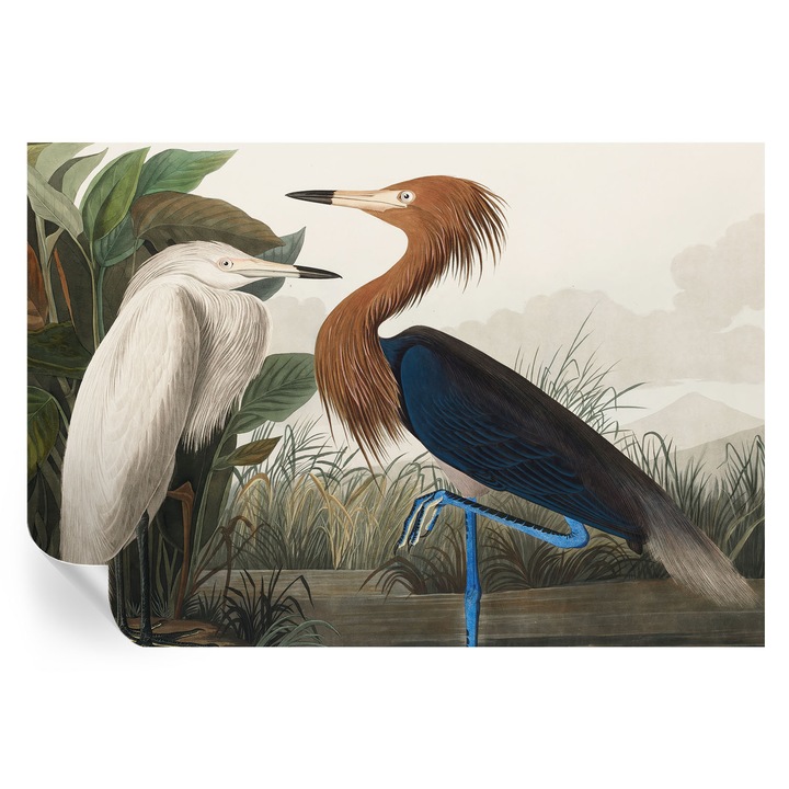 Fototapet autocolant Tulup, Pasarile din plante, Verde, 152x104cm, Rezistent la apa si umiditate