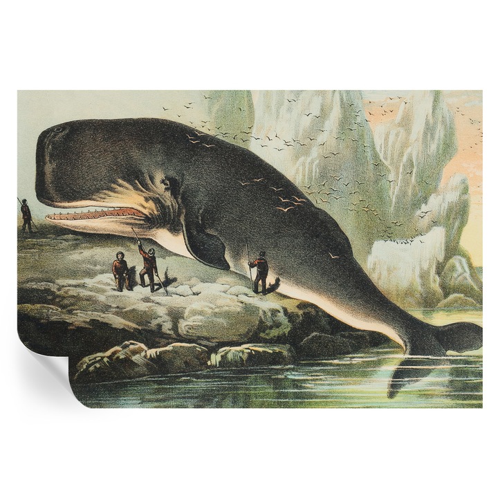 Tapet autocolant Tulup, Gigantismul marin, Negru, 152x104cm, Lavabil, Rezistent la murdarie