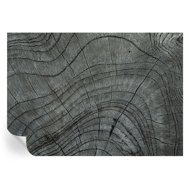 Tapet Textil Autocolant, Tulup, Model de granulatie, Gri, 208 x 146 cm, Decorativ, Detasabil, 010170060950000282502