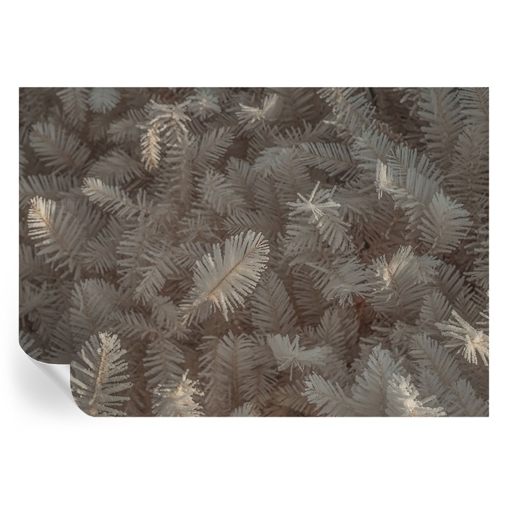 Öntapadós Dekor Tapéta, Tulup, Fagyos gallyak, Fehér, 312 x 219 cm, Dekoráció, Nedvesség- És Foltálló, 010170060960000284971