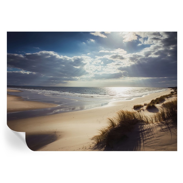 Fototapet autocolant, Tulup, Tarm radiant, rezistent la umiditate, albastru, 208x146 cm