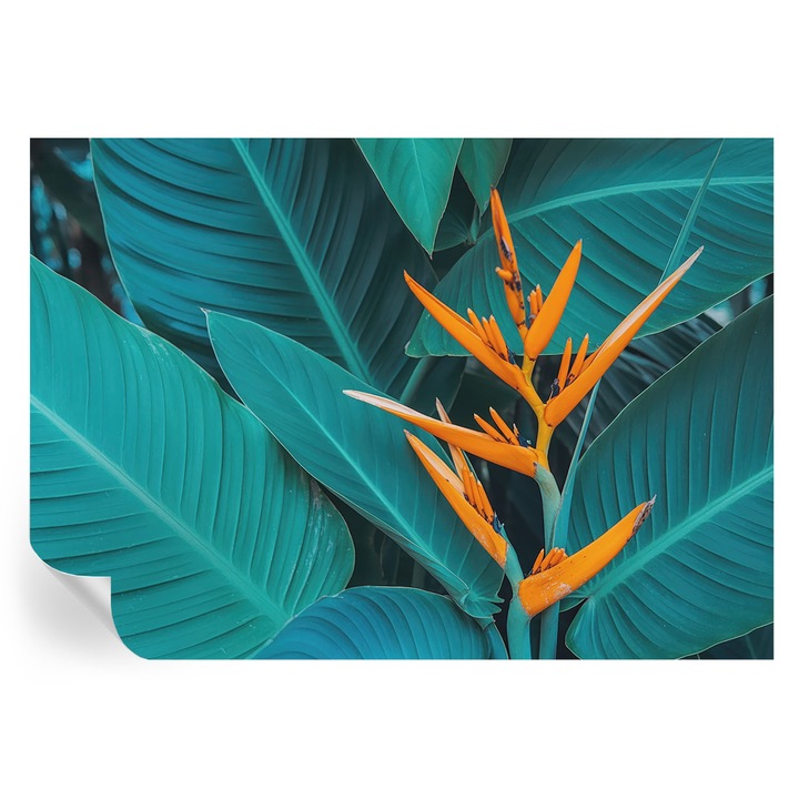 Öntapadós Tapéta Falra, Tulup, Leveles virágok, Narancssárga, 208 x 146 cm, Dekoráció, Nedvesség- És Foltálló, 010170060950000285151