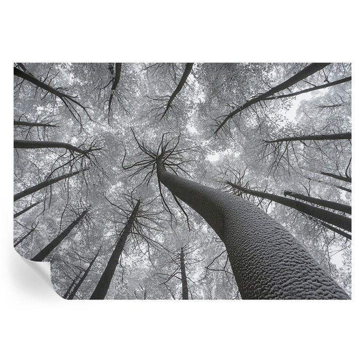 Öntapadós Dekor Tapéta, Tulup, Téli táj, Fekete és fehér, 312 x 219 cm, Dekoráció, Könnyen Felszerelhető És Tisztítható, 010170060960000285014