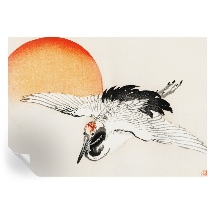 Tapet Autocolant Tulup, Macara Elegantă, Alb, 208x146cm