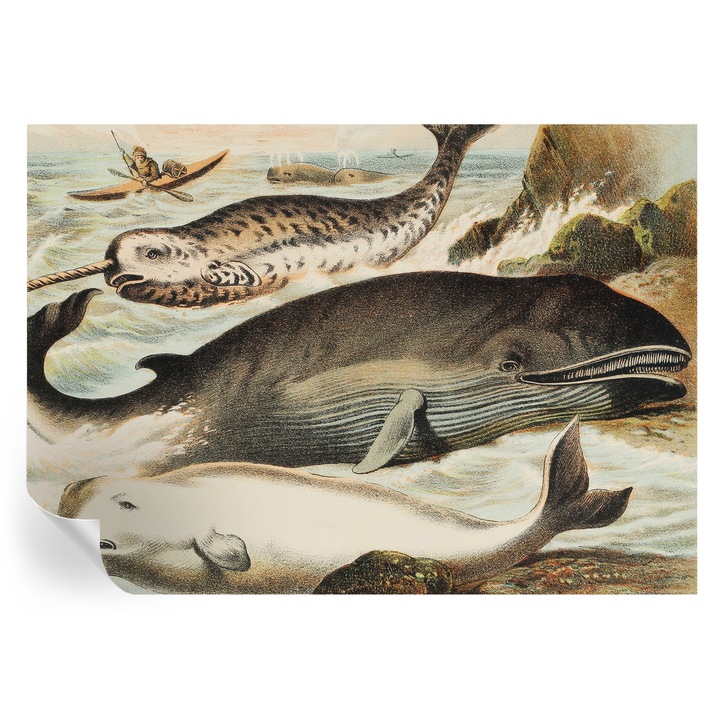 Tapet autocolant, Tulup, Giganti ai marii, Alb, 208x146cm, Rezistent la apă, Lavabil