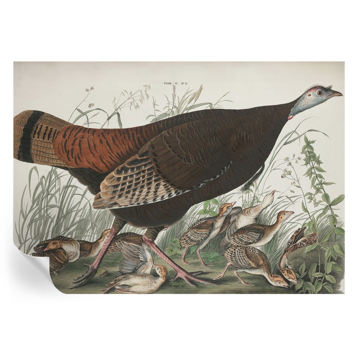 Tapet autocolant, Tulup, armonie naturală, maro, 208x146cm