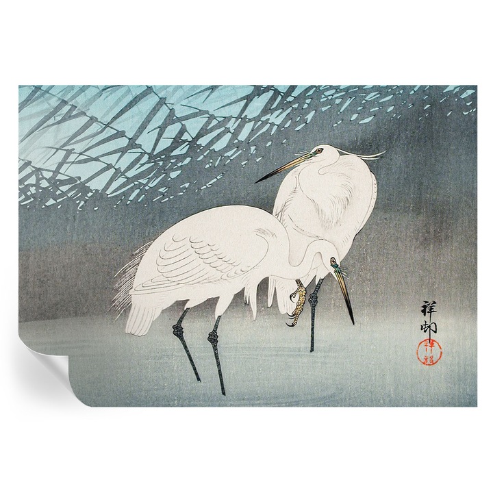 Fototapet Tulup, Pasari delicate, Albastru, 208x146cm, Autoadeziv