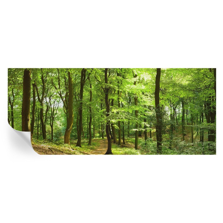 Öntapadós Tapéta Falra, Tulup, Természetes ösvény, Zöld, 250 x 104 cm, Dekoráció, Klasszikus, 010170060020000000799