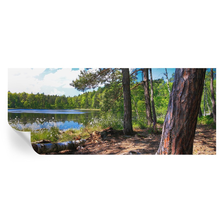 Fototapet autocolant, tulup, peisaj forestier, verde, 250x104cm