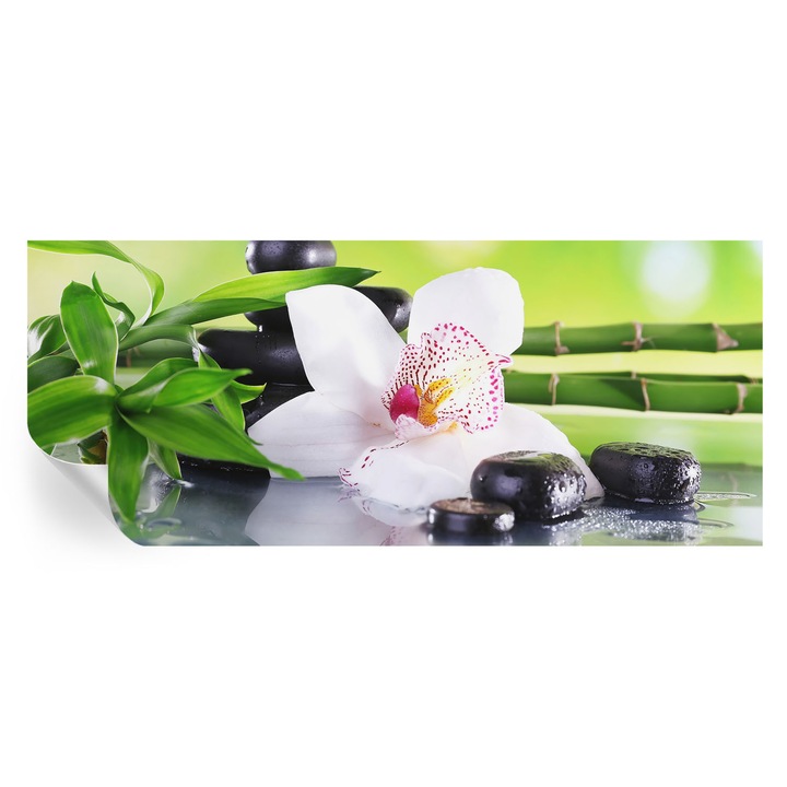 Fototapet autodeziv, tulup, Pacea naturii, verde, 250x104cm