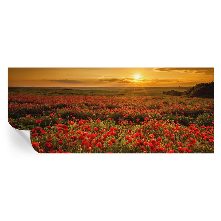 Fototapet autocolant, Tulup, câmp de maci, roșu, 250x104cm, lavabil