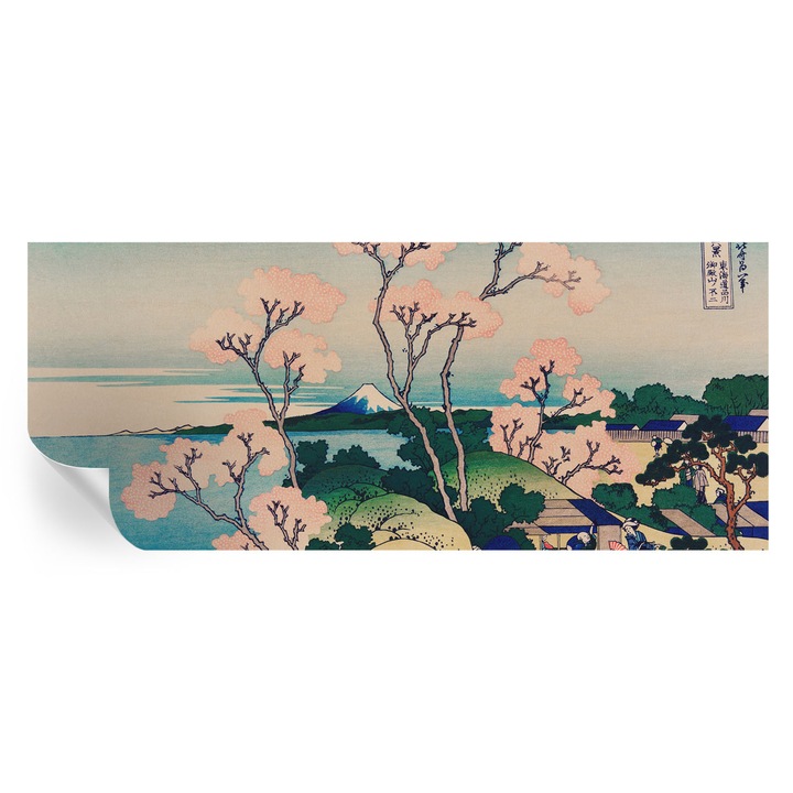 Fototapet autodeziv, Tulup, Flori de cireș, Albastru, 250x104cm