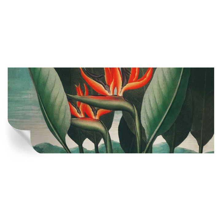 Fali Fotótapéta Autodeziv, Tulup, Flori exotice, Verde, 250 x 104 cm, Decorativ, Pentru Bucatarie, Baie, 010170060020000031714