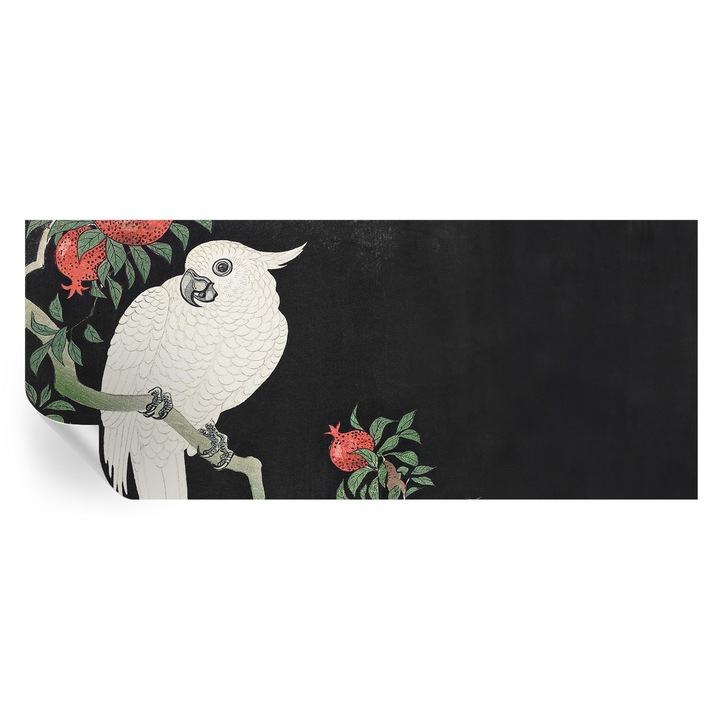 Tapet autocolant tulup, papagal de rodie, negru, 250x104cm, rezistent la murdarie și umiditate