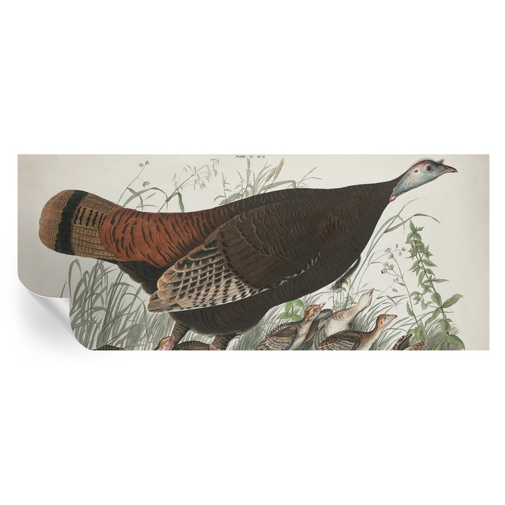 Tapet Autocolant, tulup, Armonie naturala, Maro, 250x104cm