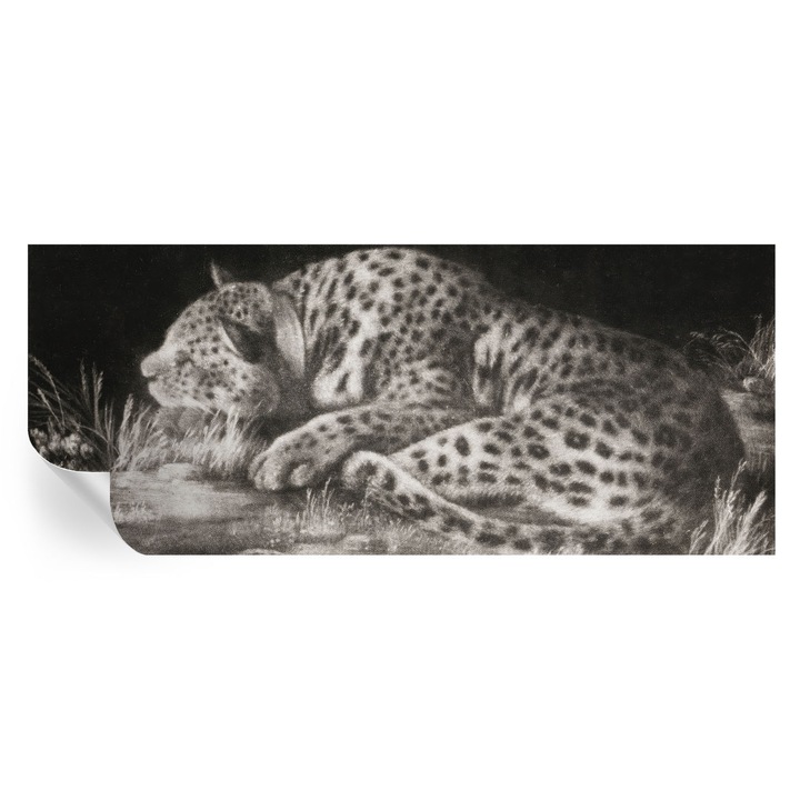Fototapet Autocolant Tulup, Leopard care se odihnește, Multicolor, 250x104cm