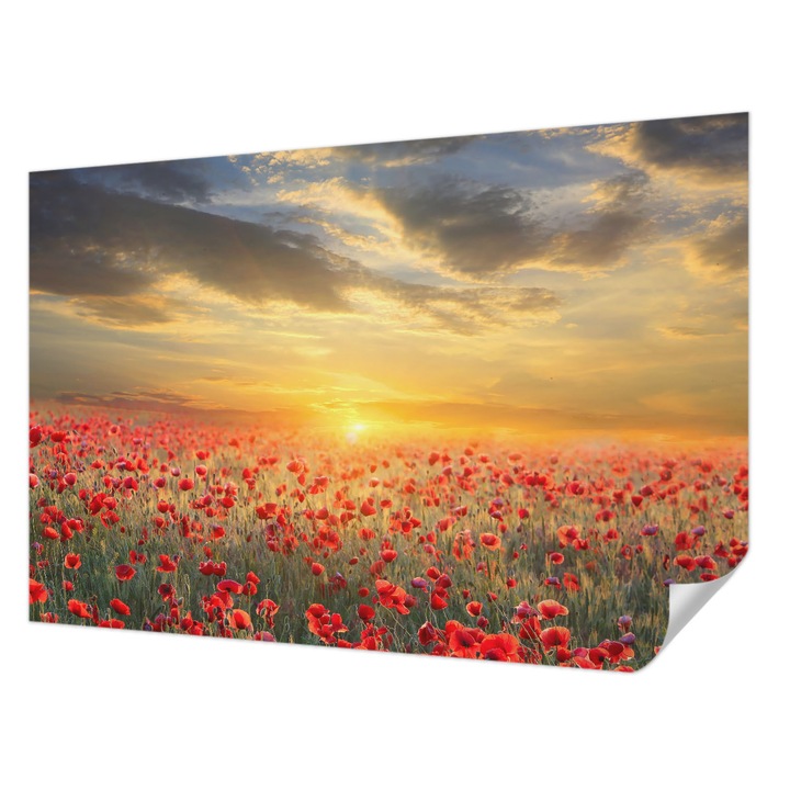 Öntapadós Fotótapéta Falra, Wallfluent, Pipacsmező, Piros, 104 x 70 cm, Előszobába, Hálószobába, 010170060170000001395