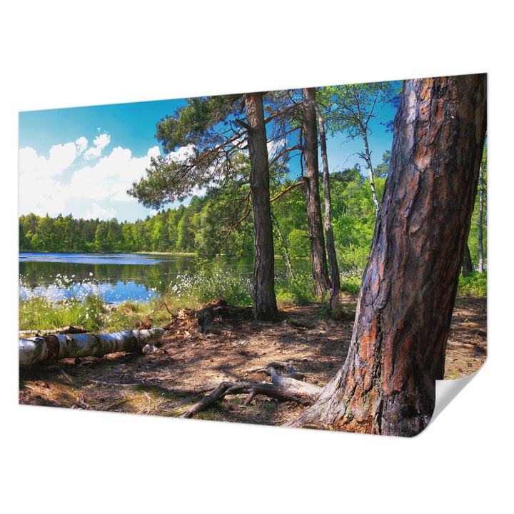 Öntapadós Dekor Tapéta, Wallfluent, Erdő táj, Zöld, 104 x 70 cm, Nappaliba, Konyhába, 010170060170000001736