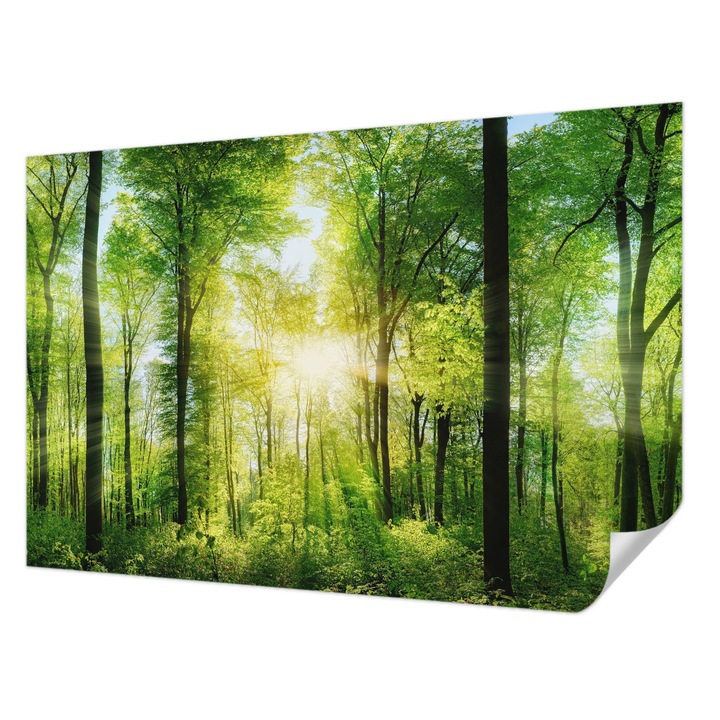 Öntapadós Tapéta Falra, Wallfluent, Erdő harmóniája, Zöld, 104 x 70 cm, Klasszikus, Könnyen Felszerelhető, 010170060170000007593