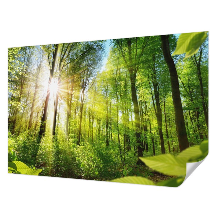 Tapet Autocolant De Perete, Wallfluent, Lumina padurii, Verde, 104 x 70 cm, Pentru Interior, Rezistente La Apa, Umiditate Si Pete, 010170060170000007224