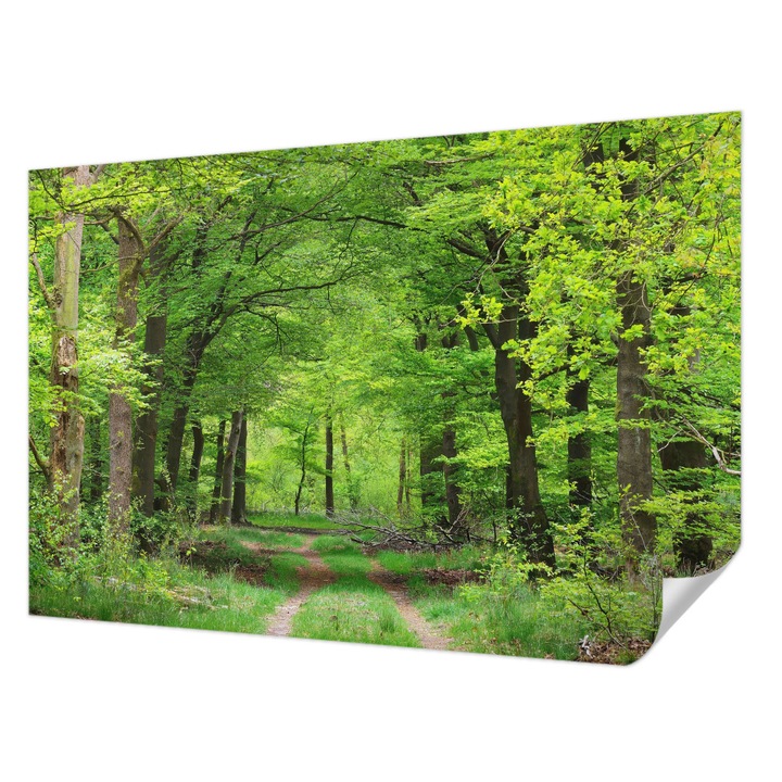 Öntapadós Tapéta Fali Dekoráció, Wallfluent, Erdei ösvény, Zöld, 104 x 70 cm, Nappaliba, Konyhába, 010170060170000007217