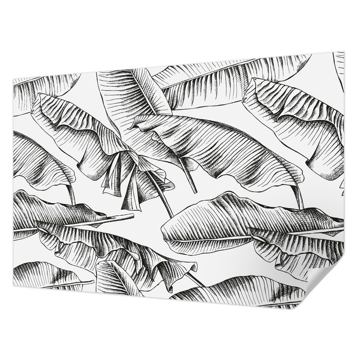 Öntapadós Tapéta Fali Dekoráció, Wallfluent, Banánlevelek, Fekete és fehér, 104 x 70 cm, Dekoráció, Falra, 010170060170000010925