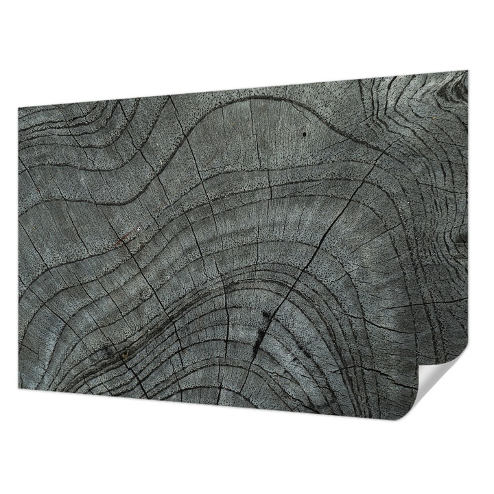 Öntapadós Dekor Tapéta, Wallfluent, Szemcsés minta, Szürke, 104 x 70 cm, Modern Dizájn, Könnyen Felszerelhető És Tisztítható, 010170060170000282502