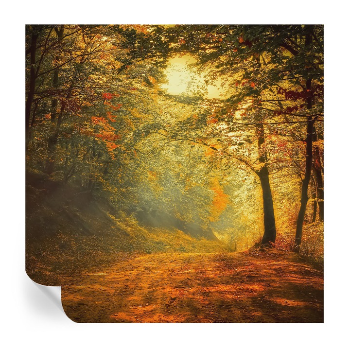 Fali Fotótapéta Autocolant, Tulup, Peisaj de toamna, Galben, 250 x 250 cm, Decorativ, Pentru Birou, 010170060030000001585