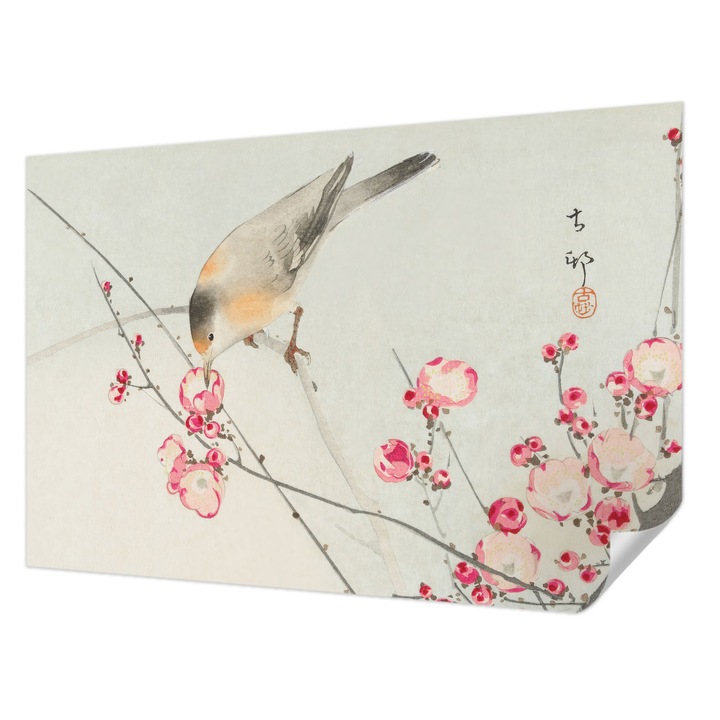 Öntapadós Fotótapéta Falra, Wallfluent, Virágmadár, Fekete, 104 x 70 cm, Fali Dekoráció, Nedvesség- És Foltálló, 010170060170000285555