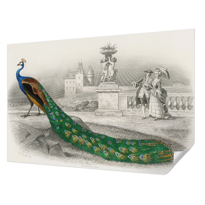 Öntapadós Fotótapéta Falra, Wallfluent, Színes tollak, Zöld, 104 x 70 cm, Klasszikus, Könnyen Felszerelhető, 010170060170000285558