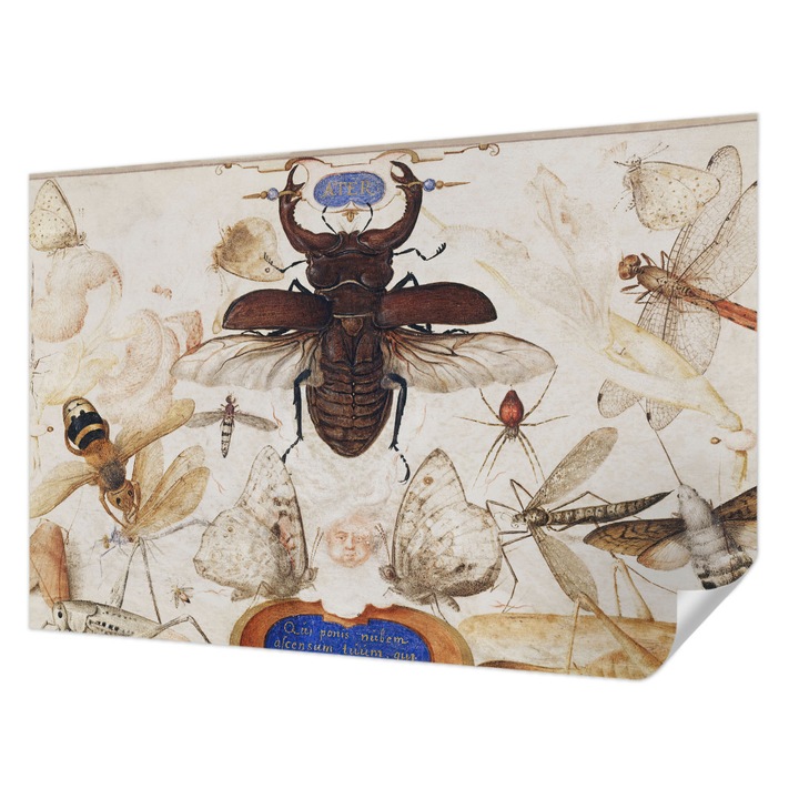 Öntapadós Tapéta Falra, Wallfluent, Természetes harmónia, Fehér, 104 x 70 cm, Előszobába, Hálószobába, 010170060170000285585