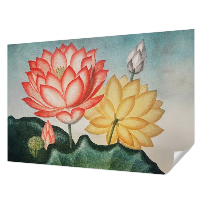 Öntapadós Tapéta Falra, Wallfluent, Lótuszvirágok, Piros, 104 x 70 cm, Dekoráció, Klasszikus, 010170060170000285620