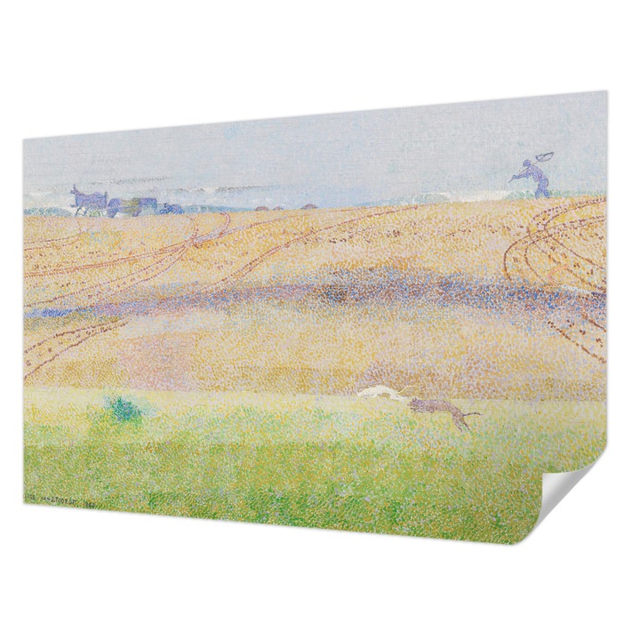 Tapet Textil Autocolant, Wallfluent, Camp de vara, Gri, 104 x 70 cm, Pentru Perete, Rezistente La Apa, Umiditate Si Pete, 010170060170000285659