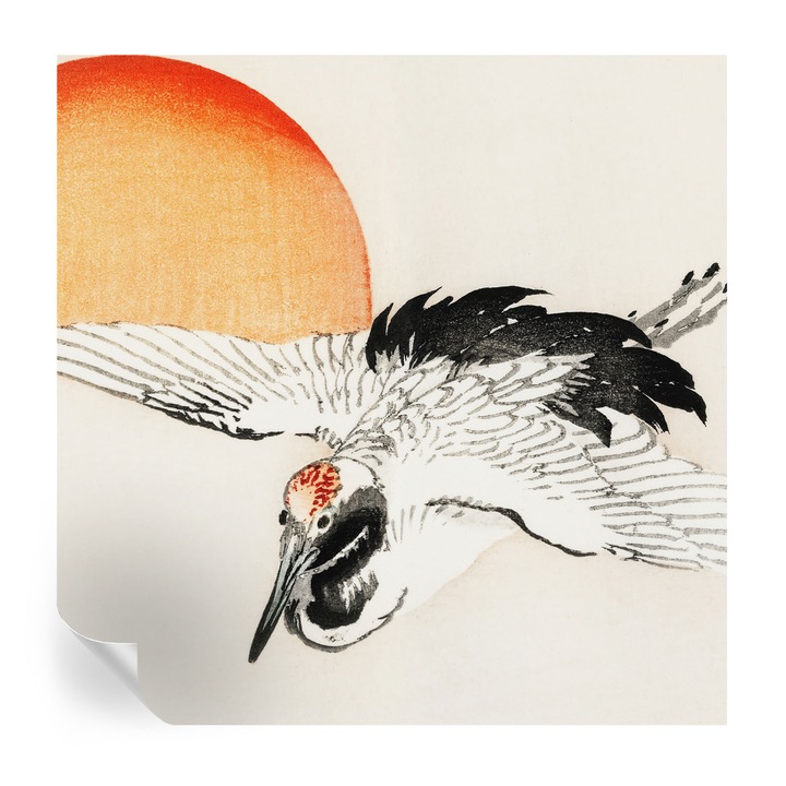 Tapet autocolant tulup, Macara eleganta, Alb, 250x250cm, Lavabil