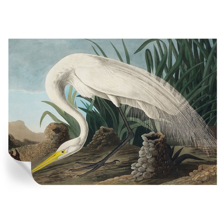 Fali Fotótapéta Autocolant, Tulup, Starc maiestuos, Alb, 208 x 146 cm, Decorativ, Pentru Birou, 010170060950000285657