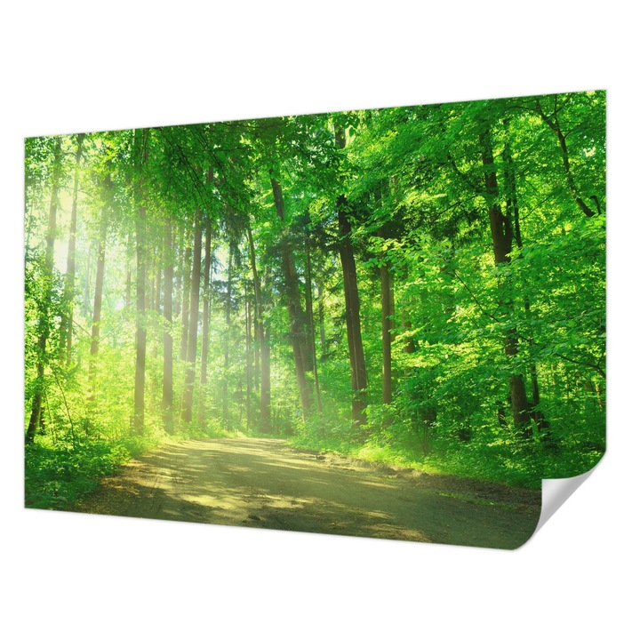 Öntapadós Dekor Tapéta, Wallfluent, Erdei ösvény, Zöld, 152 x 104 cm, Könnyen Tisztítható, Nedvességálló, 010170060180000001454