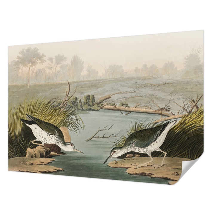 Öntapadós Fotótapéta Falra, Wallfluent, Egy békés táj, Bézs, 152 x 104 cm, Nappaliba, Konyhába, 010170060180000031038