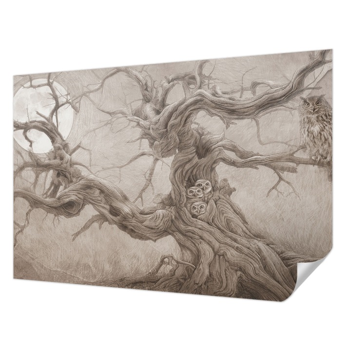 Öntapadós Fotótapéta Falra, Wallfluent, Éjszakai madarak, Bézs, 152 x 104 cm, Modern Dizájn, Könnyen Felszerelhető És Tisztítható, 010170060180000285274