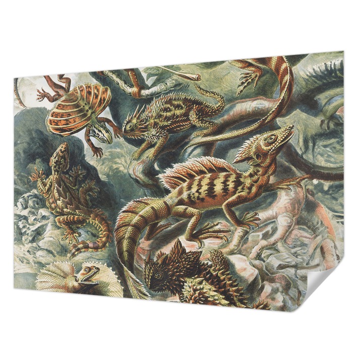 Tapet Textil Autocolant, Wallfluent, Reptile exotice, Negru, 152 x 104 cm, Pentru Sufragerie, Dormitor, 010170060180000285495