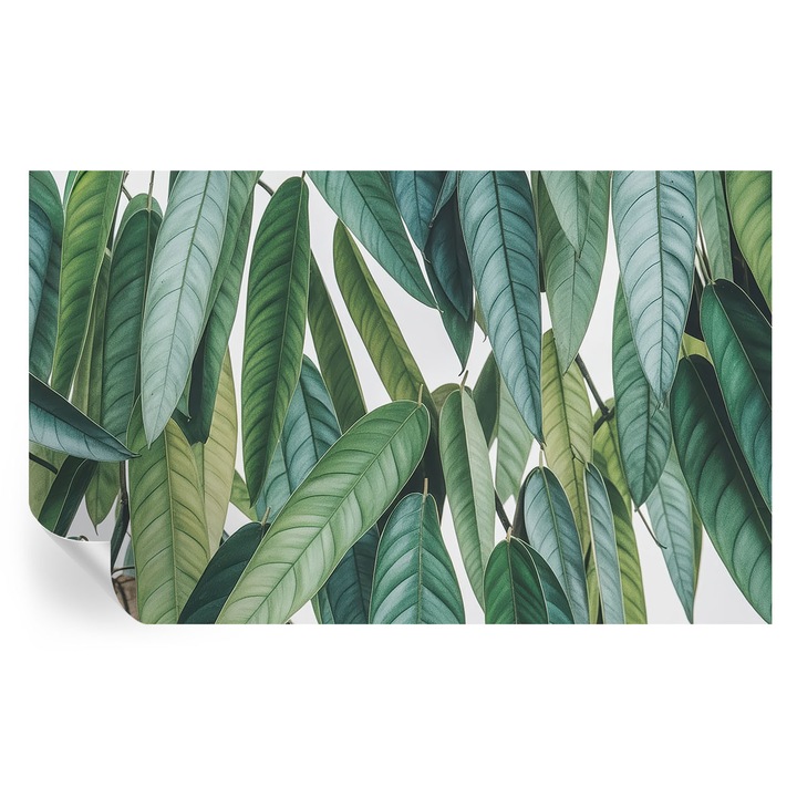 Tapet autoadeziv Tulup, frunze naturale, verde, 416x254cm