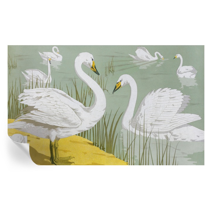 Tapet Autodeziv De Perete, Tulup, Lacul lebedelor, Alb, 416 x 254 cm, Decorativ, Usor De Curatat, 010170060070000285500