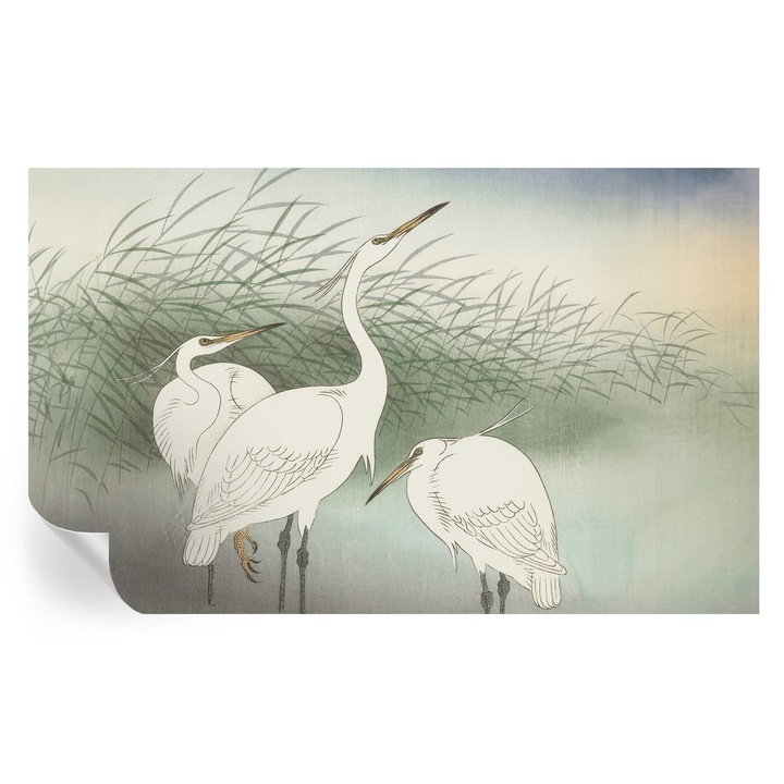 Tapet Autocolant De Perete, Tulup, Starci in iarba, Alb, 416 x 254 cm, Decorativ, Adeziv Puternic, 010170060070000285554