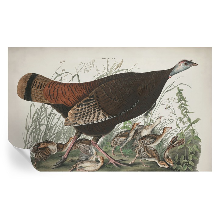 Tapet autocolant, tulup, Armonie naturala, 416x254cm, mat, rezistent