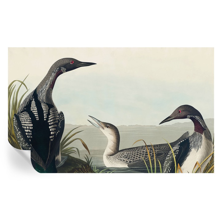 Fototapet tulup, Pasari deasupra apei, autoadeziv, negru, 416x254cm