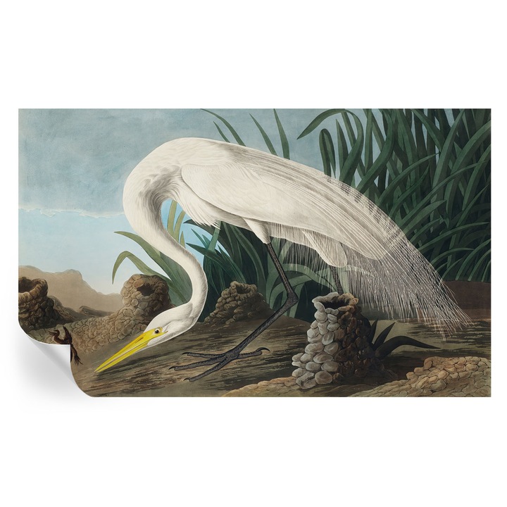 Fototapet Autocolant, Tulup, Starc maiestuos, Alb, 416x254cm