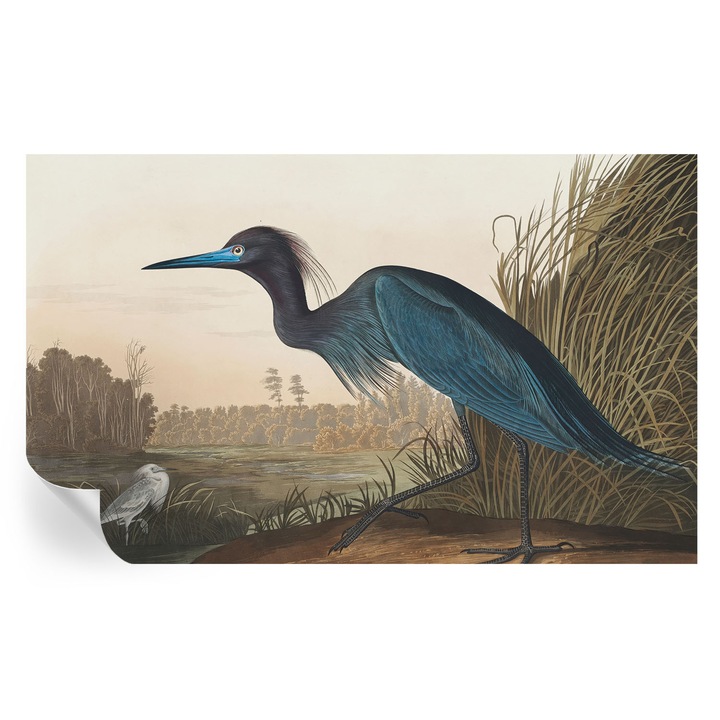 Fototapet autocolant Tulup, Pasari acvatice, Verde, 416x254cm, Detasabil